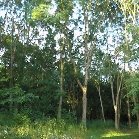Gite "La Solitude" Licques Ruang foto