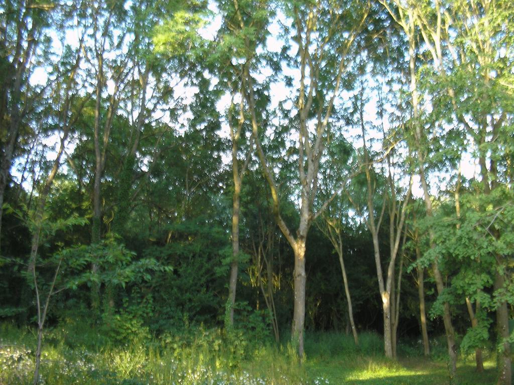 Gite "La Solitude" Licques Ruang foto