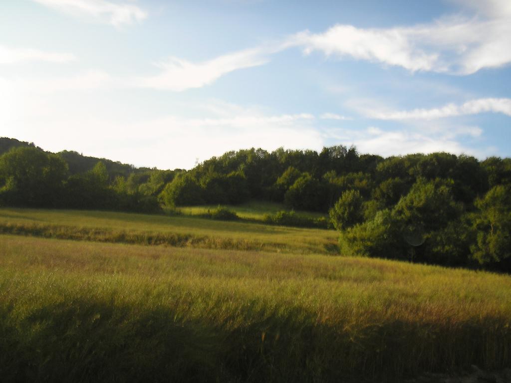 Gite "La Solitude" Licques Ruang foto