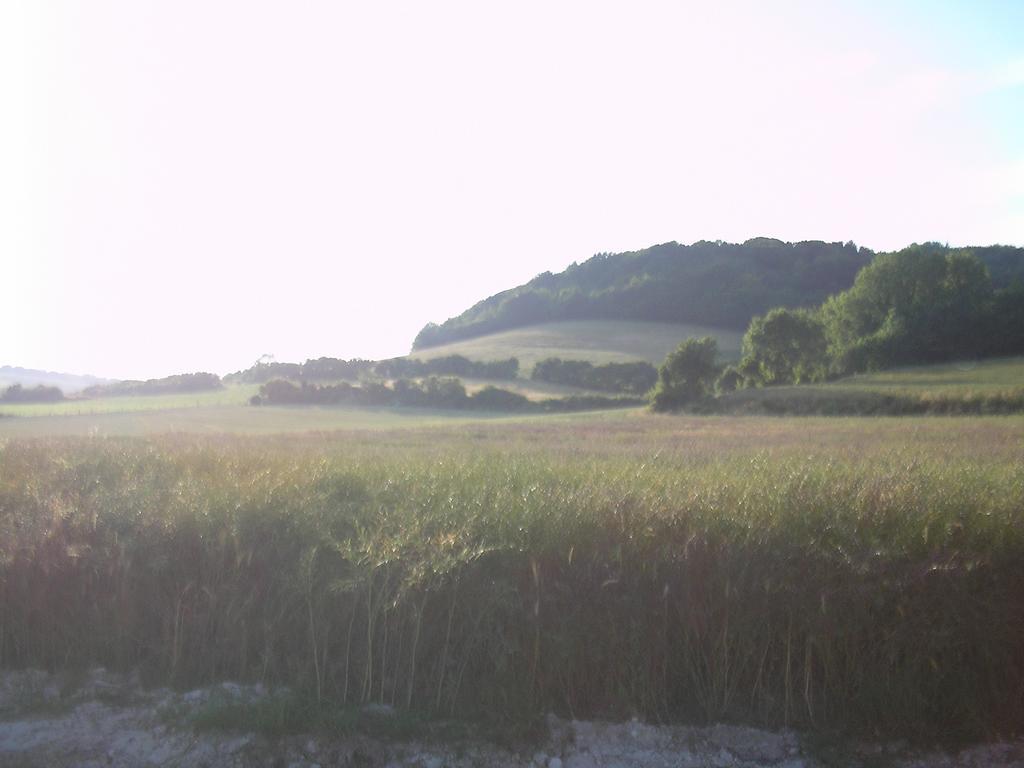 Gite "La Solitude" Licques Ruang foto